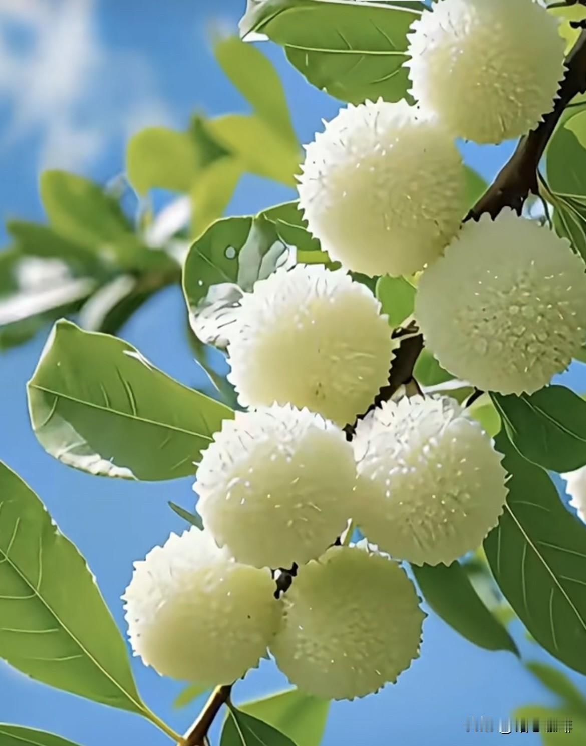 愿你在春天的怀抱里，学会珍惜，
学会感恩，让生活充满温暖与善意，
岁月静好，平平