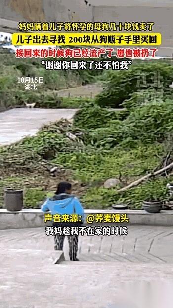 刷到这个真的破防了。
42个小时，不吃不喝不睡，就为了找一只狗。
他妈几十块钱卖