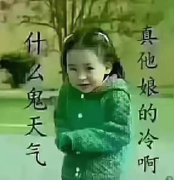 石家庄的天气，这是肿么了？
      先是夏天的超长版的爆热，连续爆热，热度之