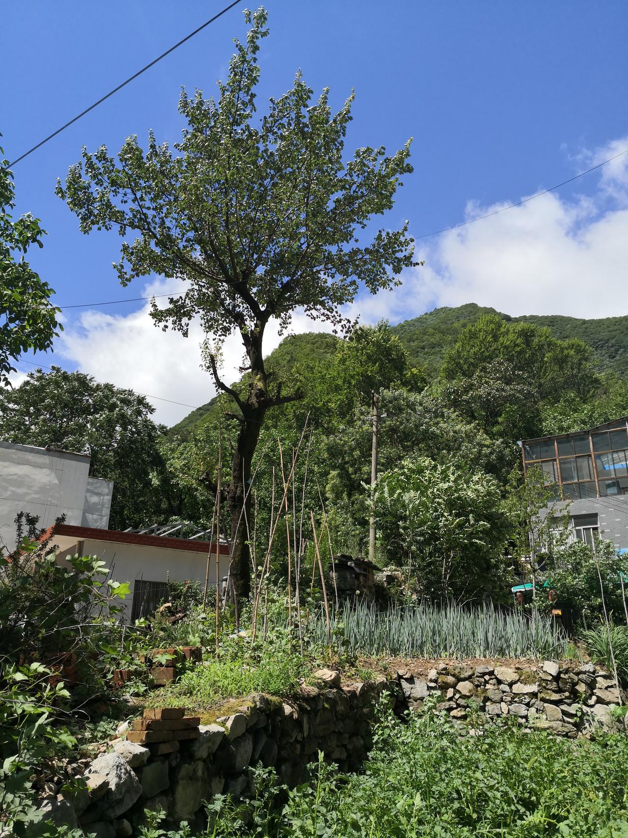 看看山里的风景层叠青山环抱一汪碧水，林间清风徐徐，山水相映，远离人间纷扰，安静得