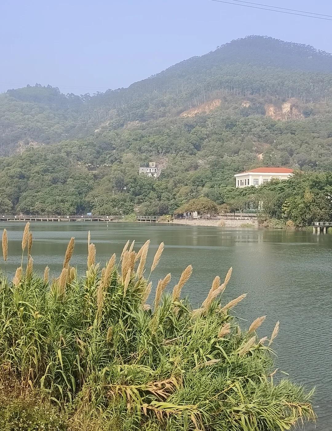 蔡尖尾徒步攻略⛰️吸氧＋俯瞰山海超治愈
2.5小时登顶🥳解锁全景！既有古寺禅意