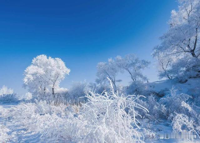 苦练成语200天!

第四十四天-----冷的成语30个

冰天雪地      