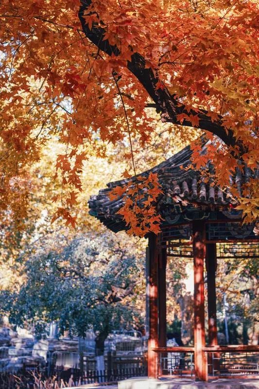 81岁老太借56岁男子钱扯出情感债

重庆81岁的胡婆婆在麻将馆认识56岁的肖先