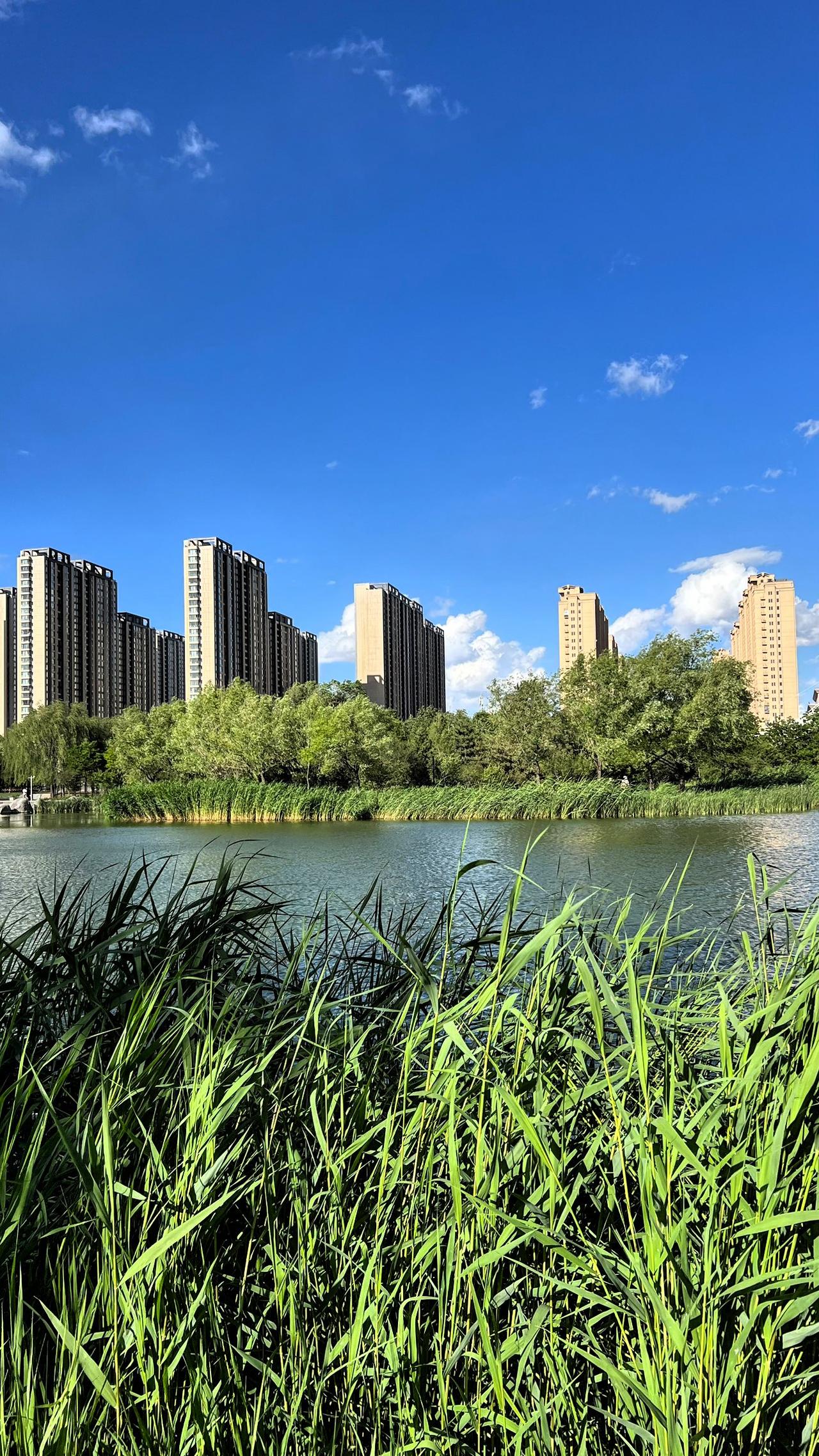 城市绿洲，静享自然与繁华的和谐共存。