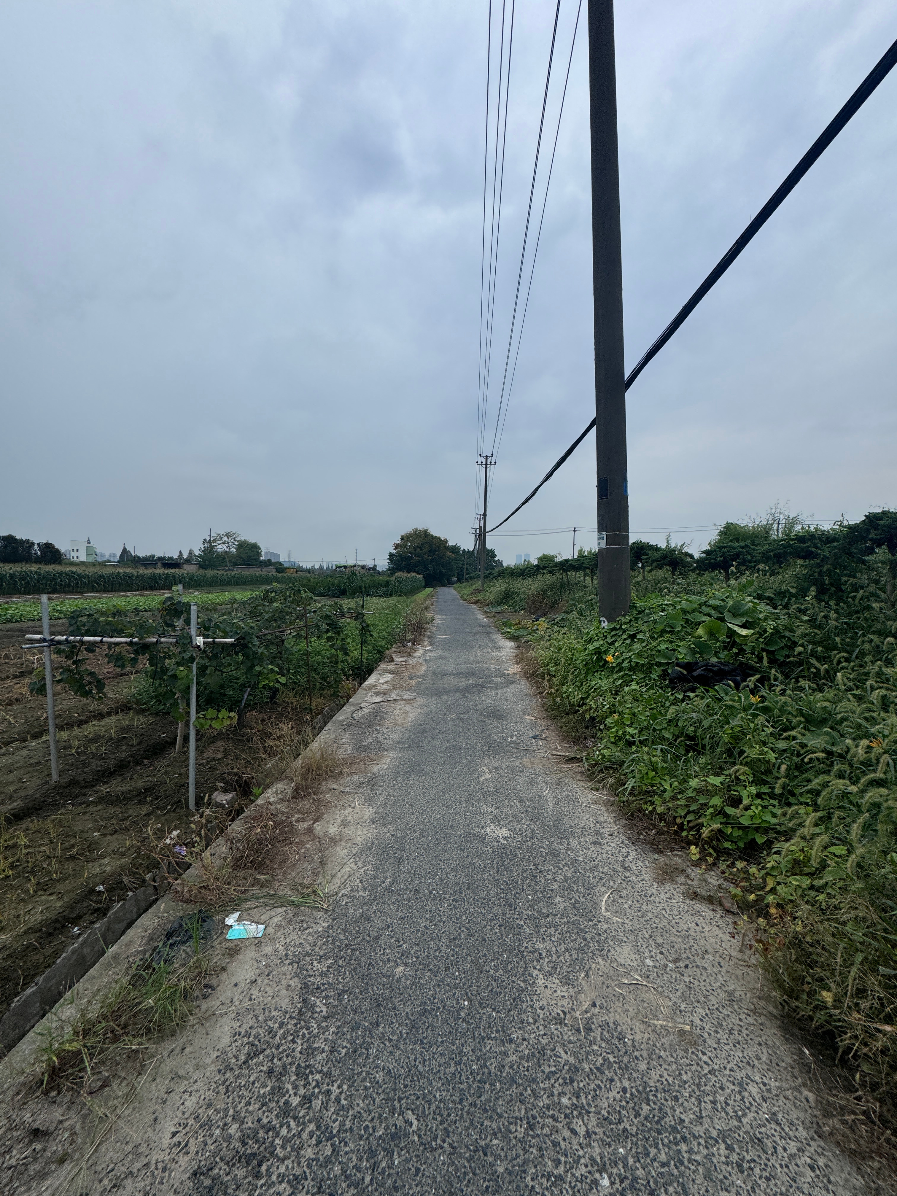 高德真的很会找小路😅给我就差带田里了喂[偷笑]今天是动图硬控的一天哦[羞嗒嗒]