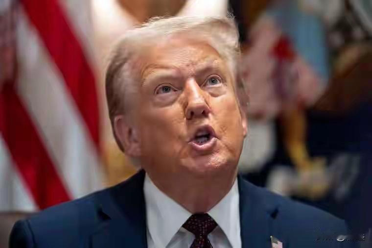 前车之鉴。
特朗普摔给泽连斯基的28点停战计划，能不能打醒台湾的台独分子们。
