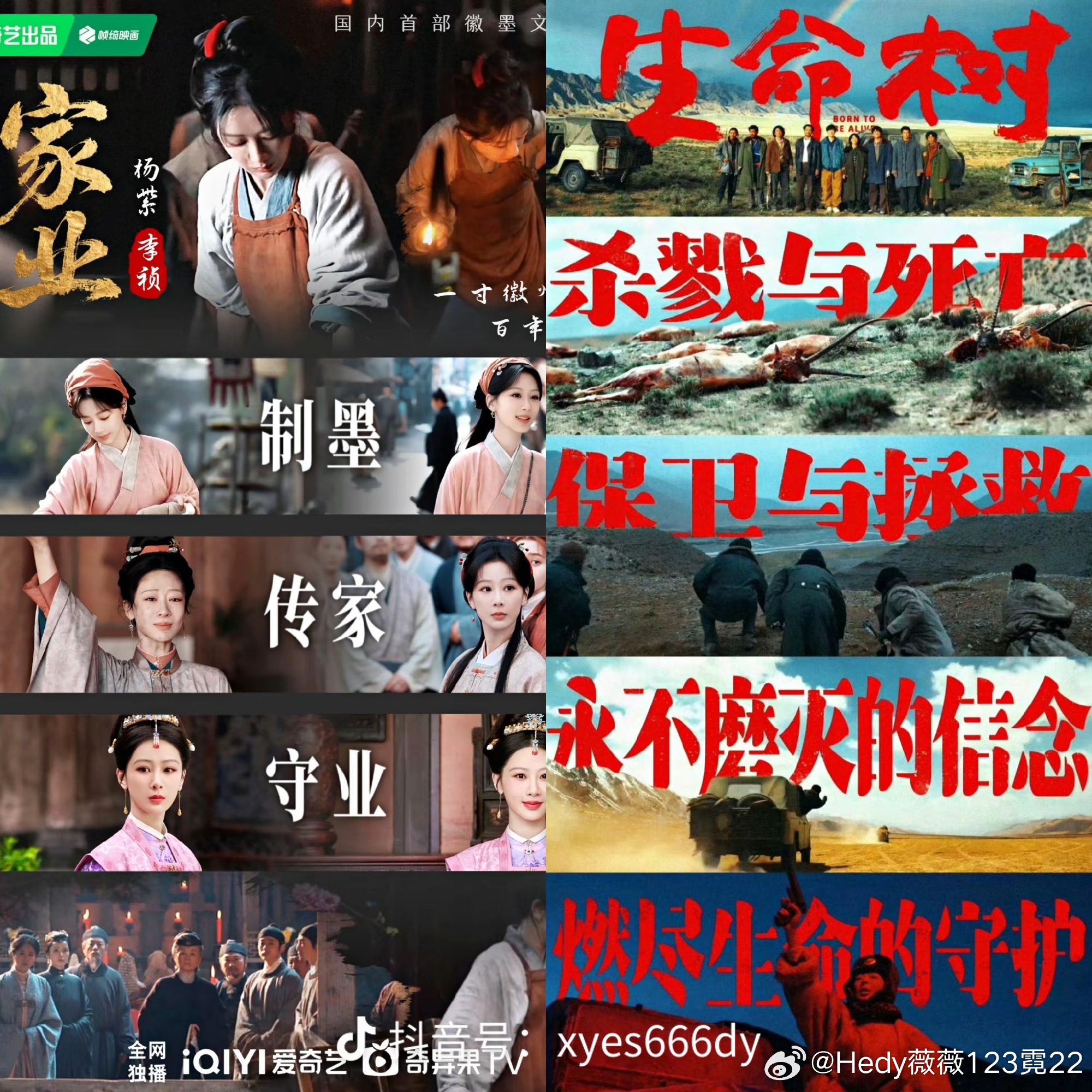 杨紫一年四冠，是当之无愧的爆剧女王！杨紫的剧播一部爆一部，不限题材、不限人设、不