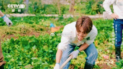 马天宇种地种到央妈综艺了 被马天宇的综艺适配度狠狠拿捏！在《山水间的家》里种地的