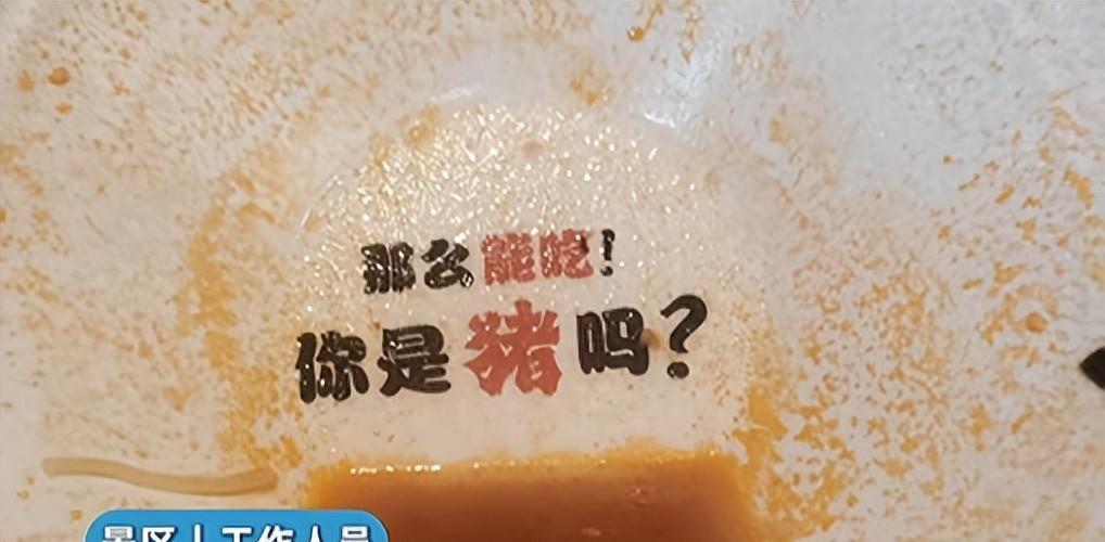 江苏常州一景区游客吃面发现碗底印着“那么能吃！你是猪吗”调侃标语，景区回应：系品