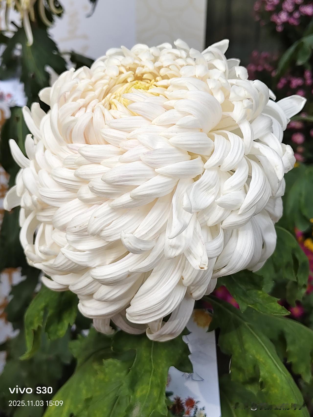 晒出家乡的好风景