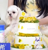 诡秘这是你点的福利吗不是我 ​​​