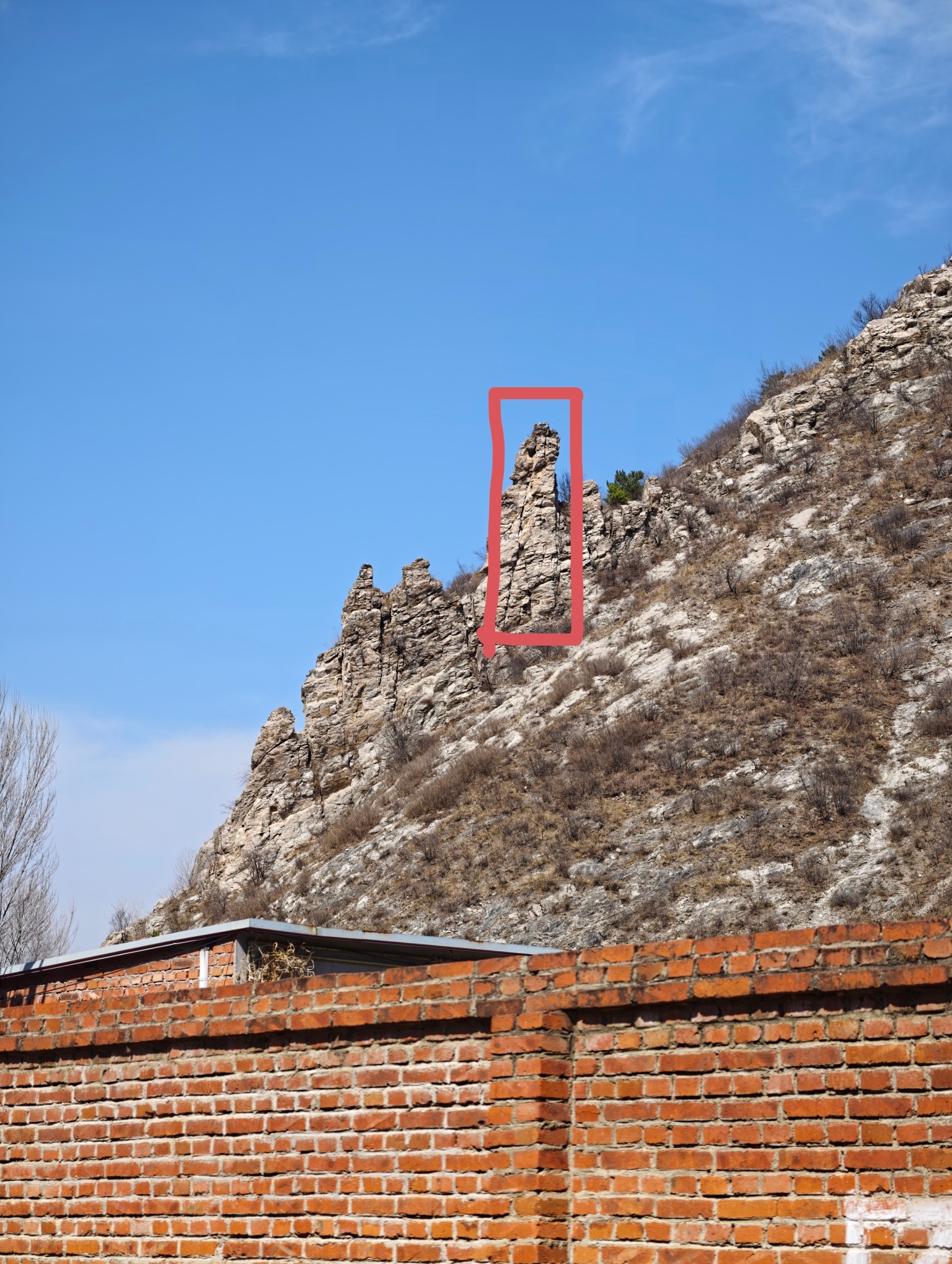 vivo X300 Ultra第一张是2亿像素原图第二张是第一张放大后的截图第三