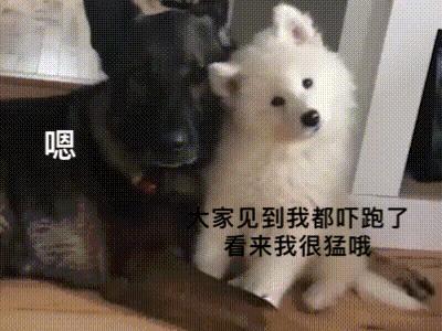 没有经历过狠狠拿捏自己起心动念的人，不足以谈修行。[苦涩][苦涩][苦涩]你真注