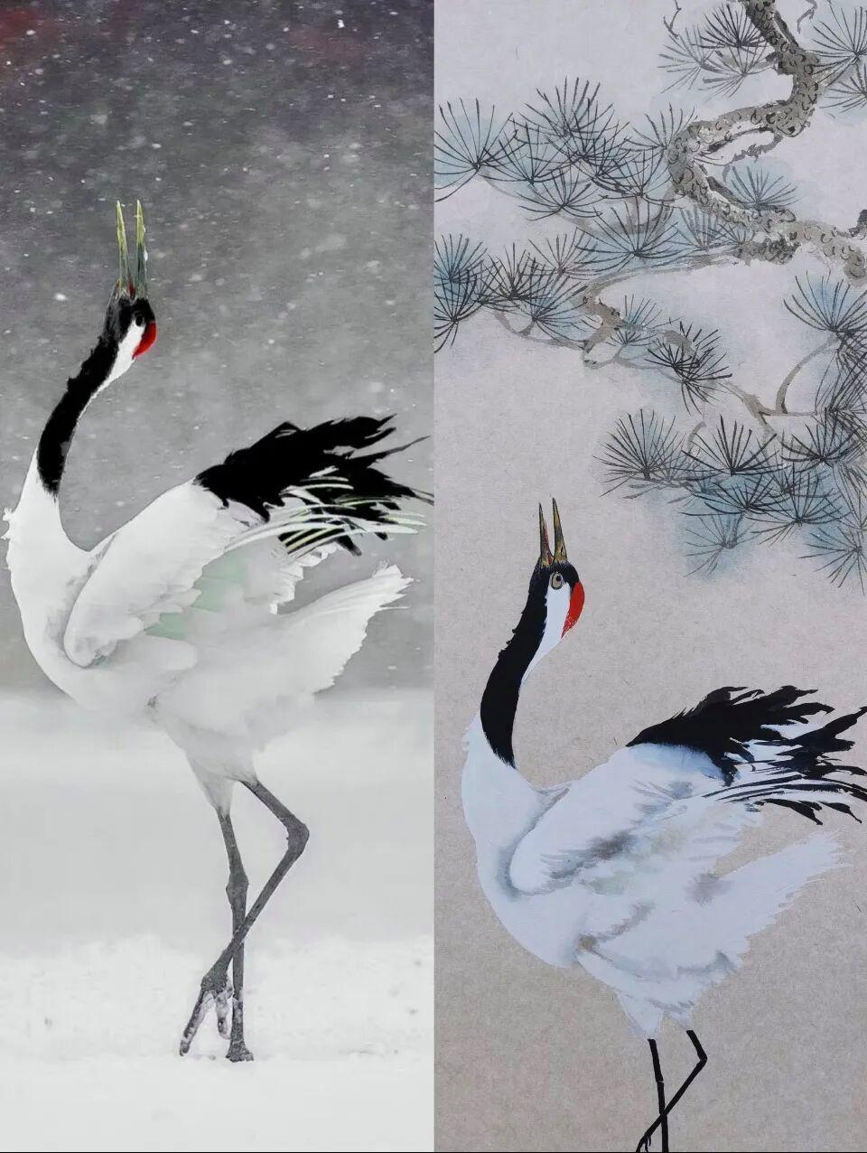 实景写花鸟，落笔便逼真，这位老师画功太棒了！
 声明| 本文里面有部分图文来源于