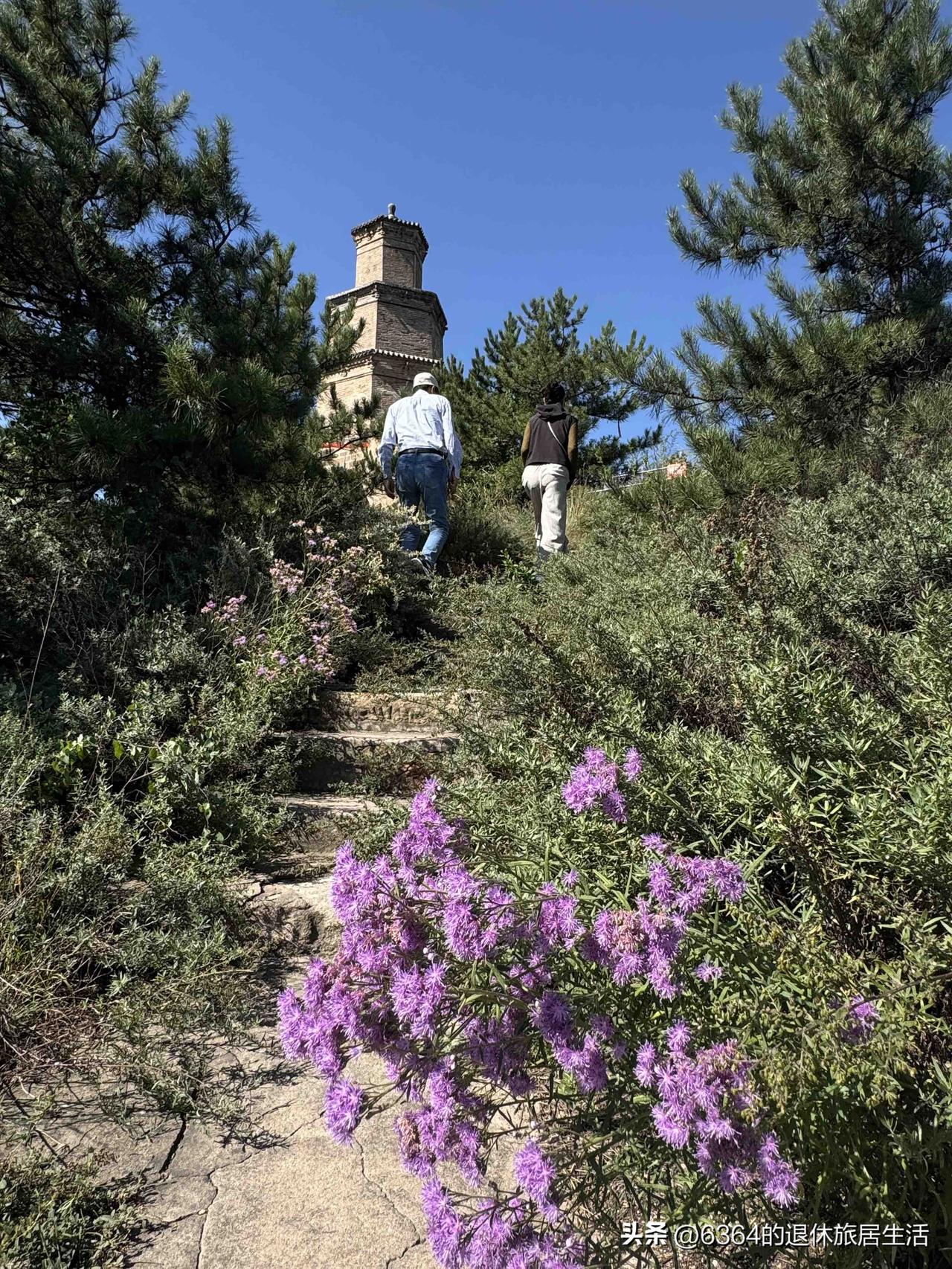 平日旅居在外，逛市场喜欢去人多的地方，哪家人多，不是物美就是价廉；看美景正好相反