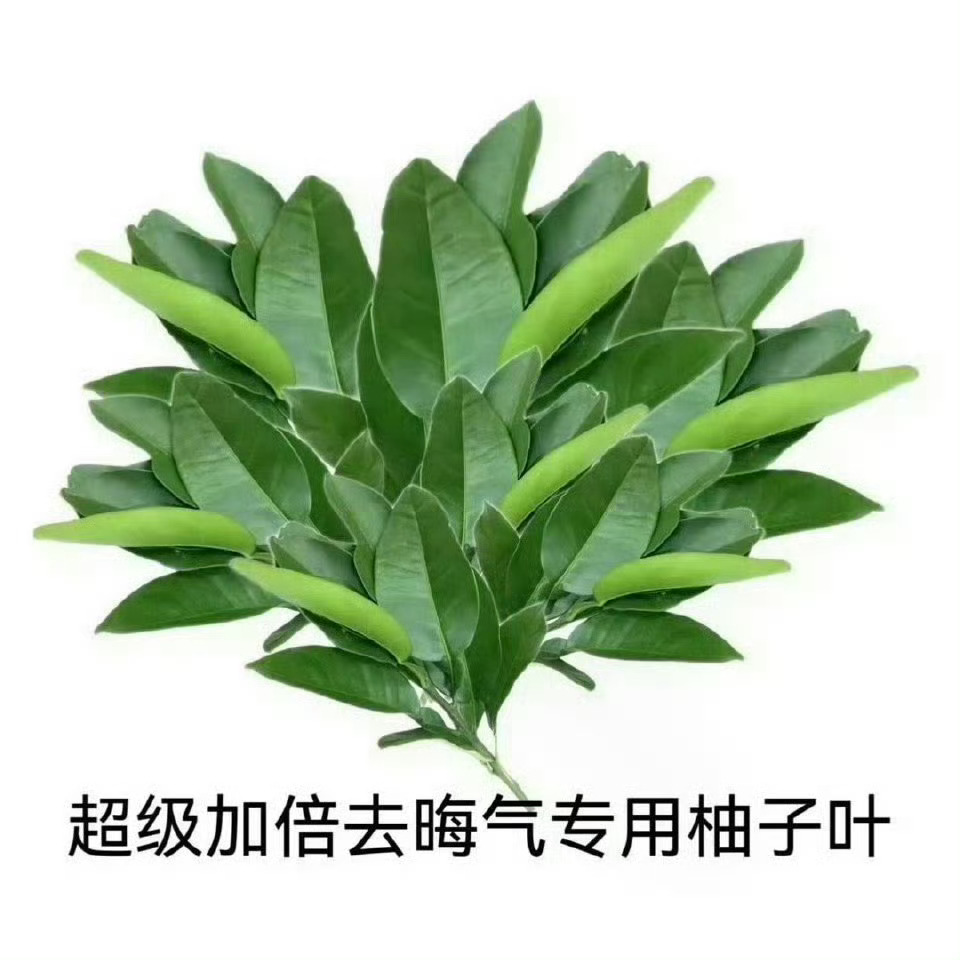 六月一定要顺顺利利呀