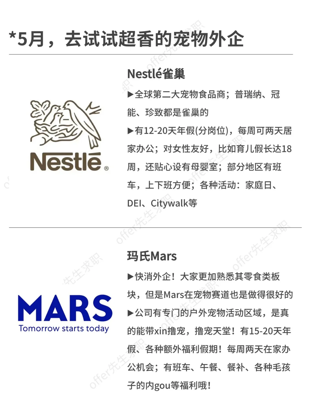 5月，不如去试试宠物外企！撸宠的天堂