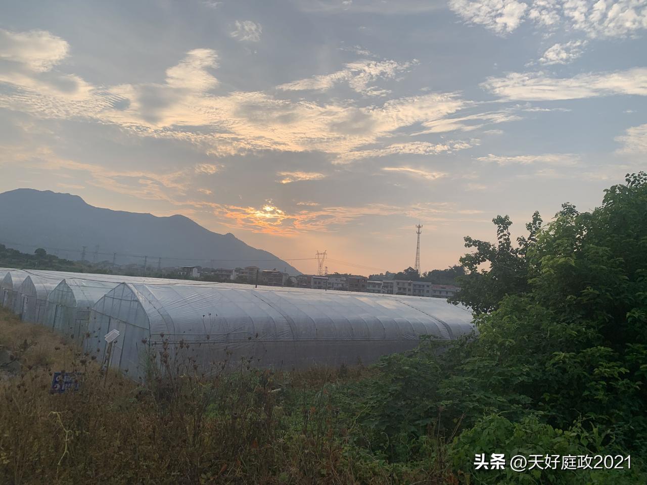 如何打破象棋思路束缚？用好A计划B计划辩证思维

很多棋友下棋常年被固有套路困住