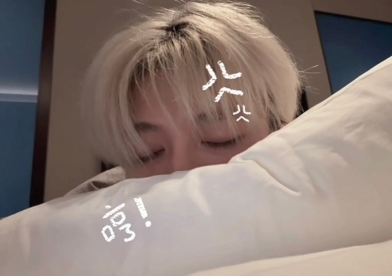 小🐽软乎乎！！！ 