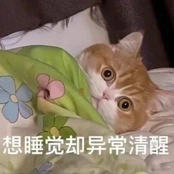 最不专注自家的粉圈是？ 