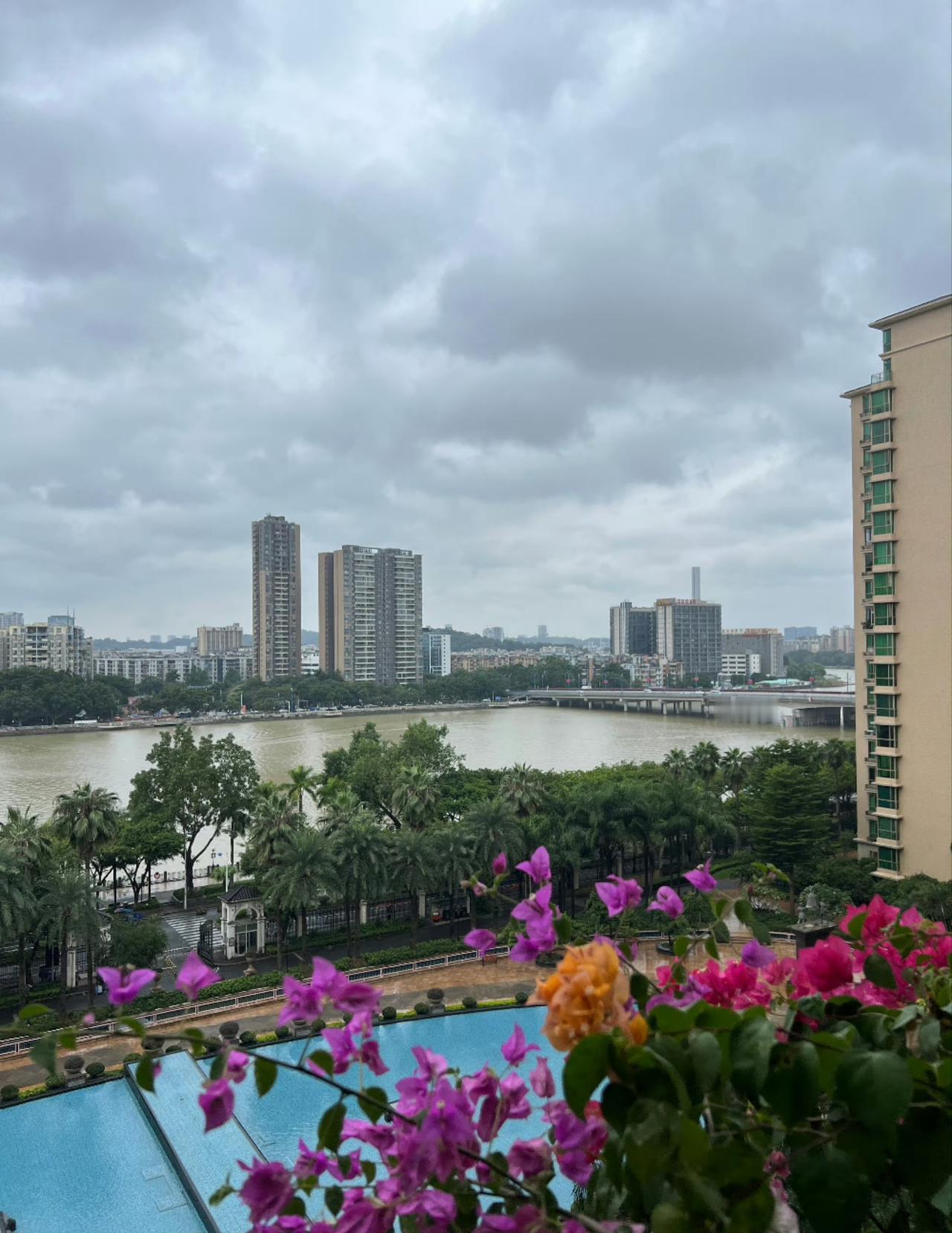今日运势：乙巳年丙戌月戊辰日  2025.10.26日

鼠：中吉财运旺盛
牛：