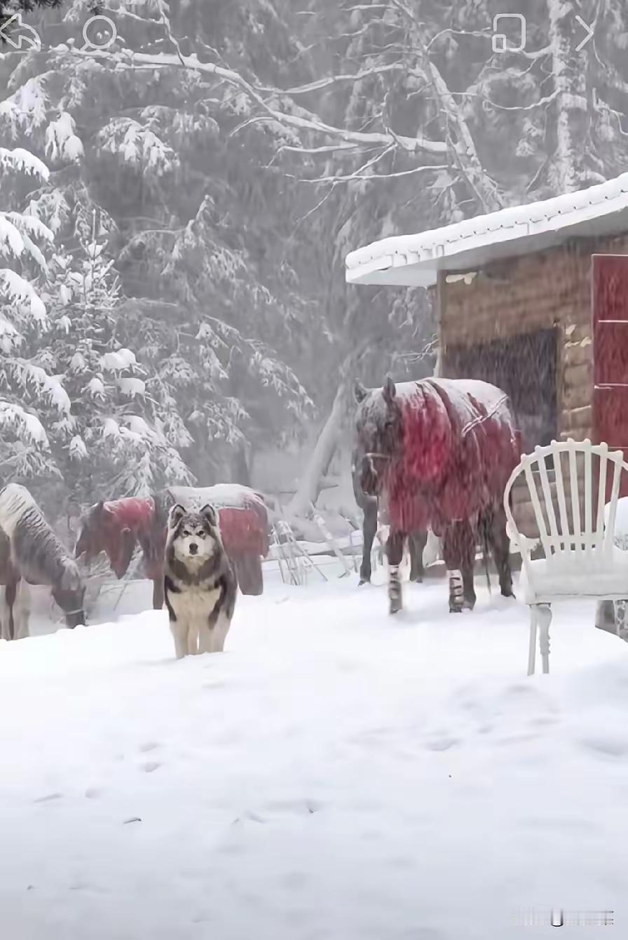 今天正月初十，老辈人最讲究看天知年景，藏着代代相传的农耕智慧
~
初十下雨，往后