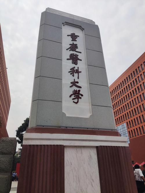 【重庆酱料大学】
地铁上，人流匆匆，突然闯进来两个打扮时髦的年轻女子。自顾自地有