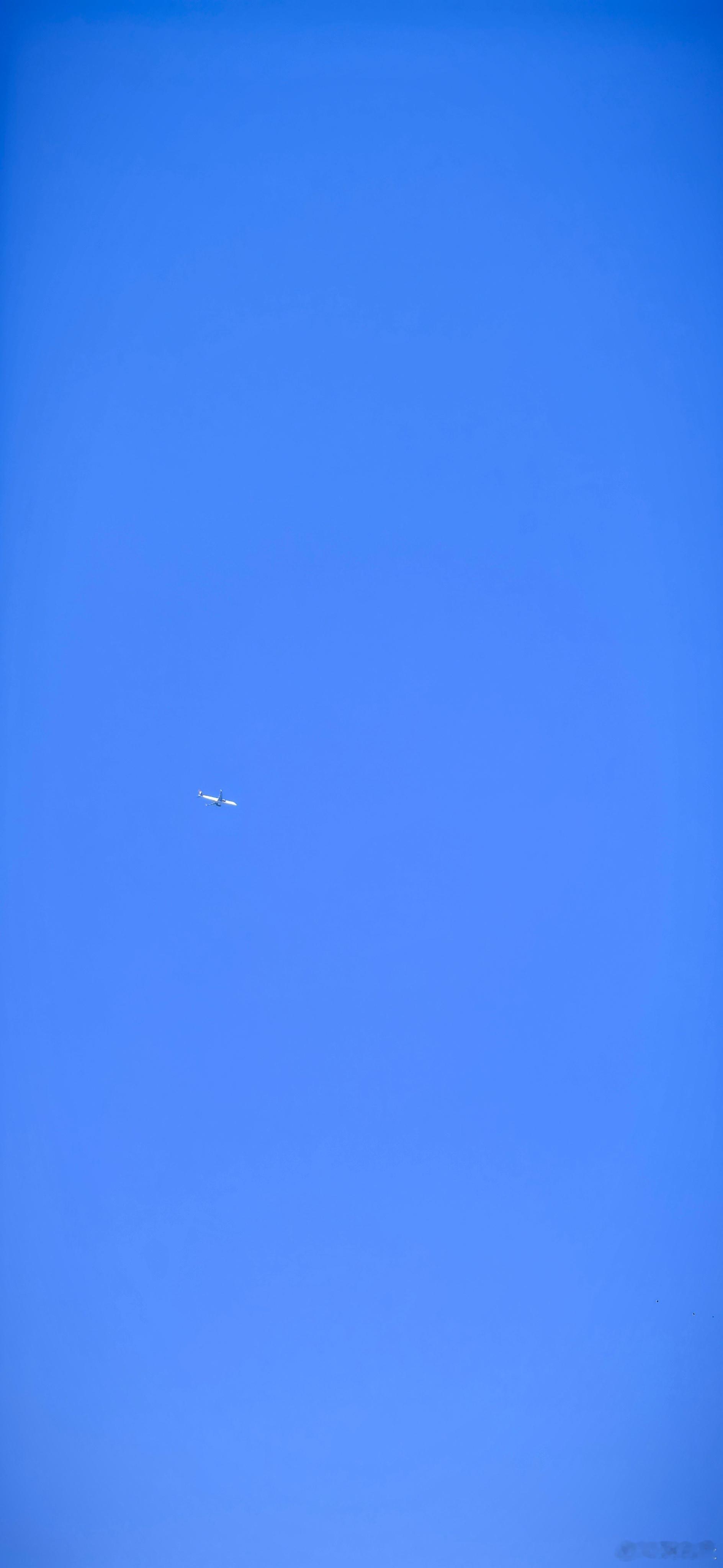 今天天气太好了，天很蓝，空气通透，飞机很大只。飞机 ​​​