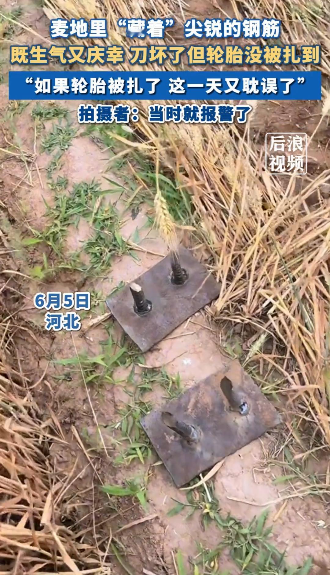 太气愤了！又到一年风吹麦浪时，麦田里却发现钢筋头。

小闫驾驶着新买的收割机进入
