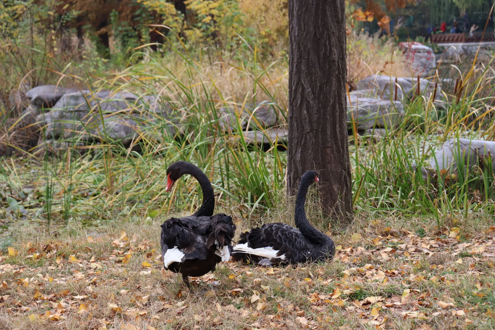 秋游青岛，接下来的日子～包美的！