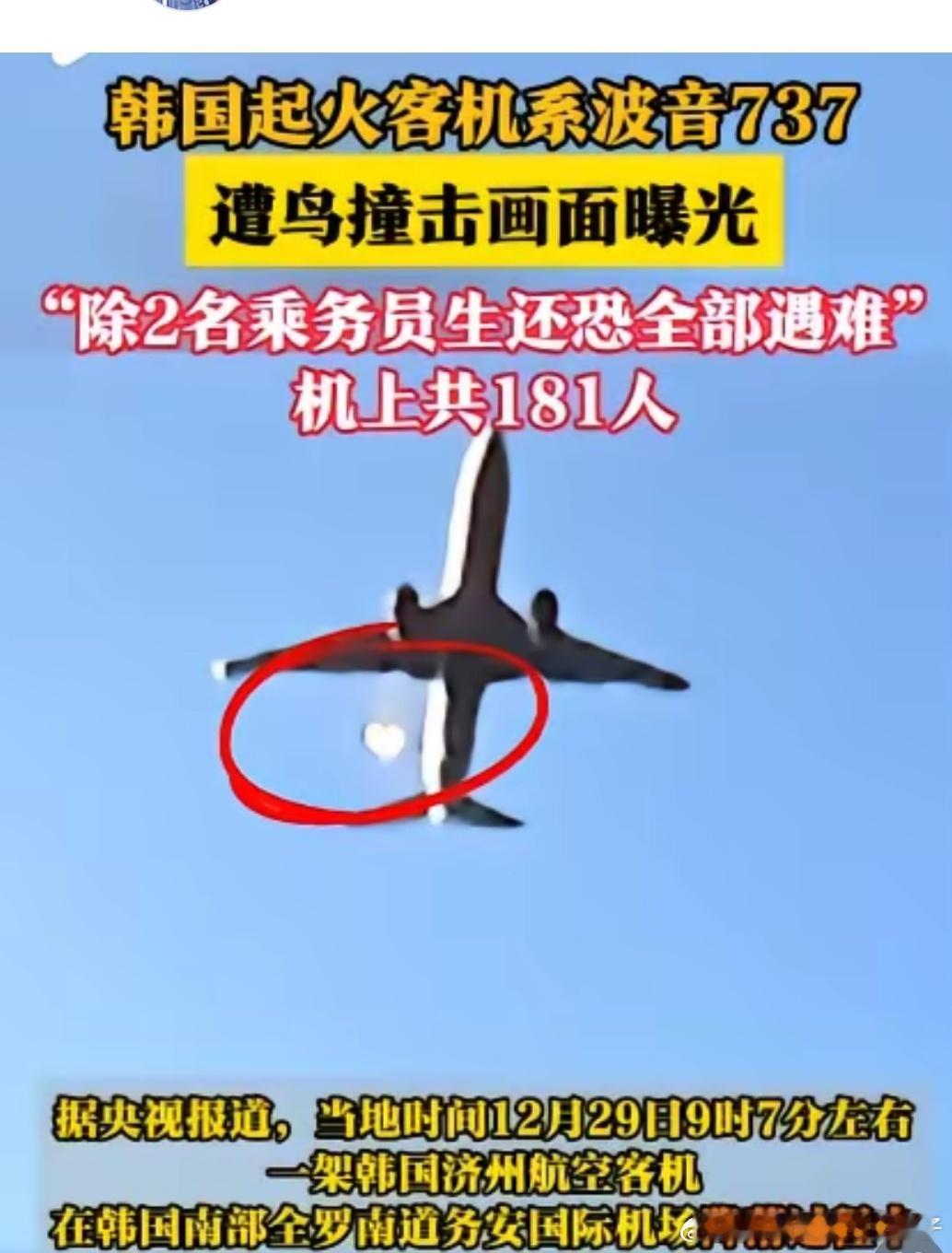 韩国客机失事前疑撞上鸟群画面曝光 济州航空坠机前影像曝光！惊见