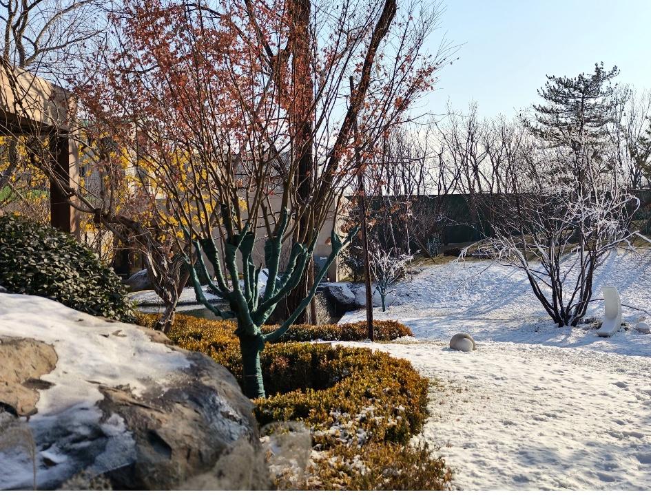 关于房地产孟晓苏的格局有几人能懂？或许我们对他有误解？

闲来无事，看了一段孟晓