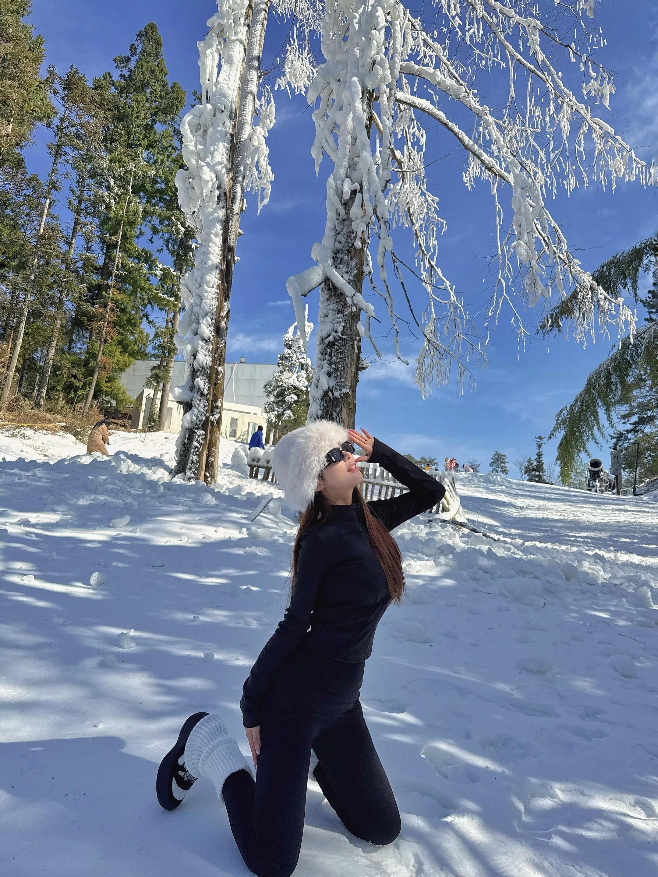 岁末 冬至 幸福至 希望这个冬天 爱与运气同在 ❄️