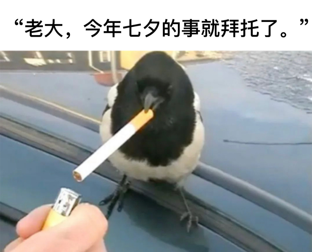 交一下过桥费#今日memes##趣过夏天# ​​​