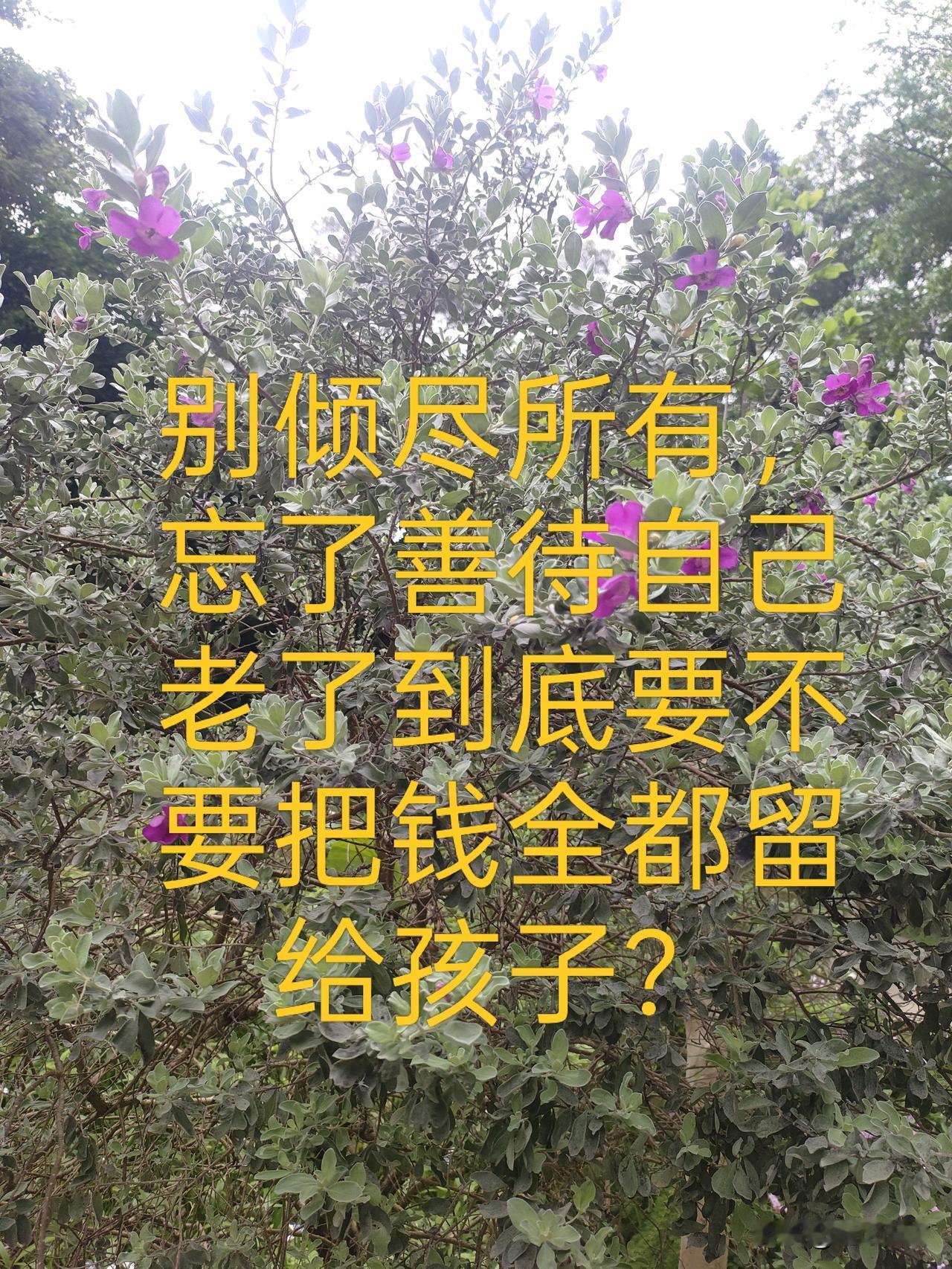 别再傻了！你拼命省钱，全是在成全子女

老程说句大实话。

有些人，一辈子省吃俭
