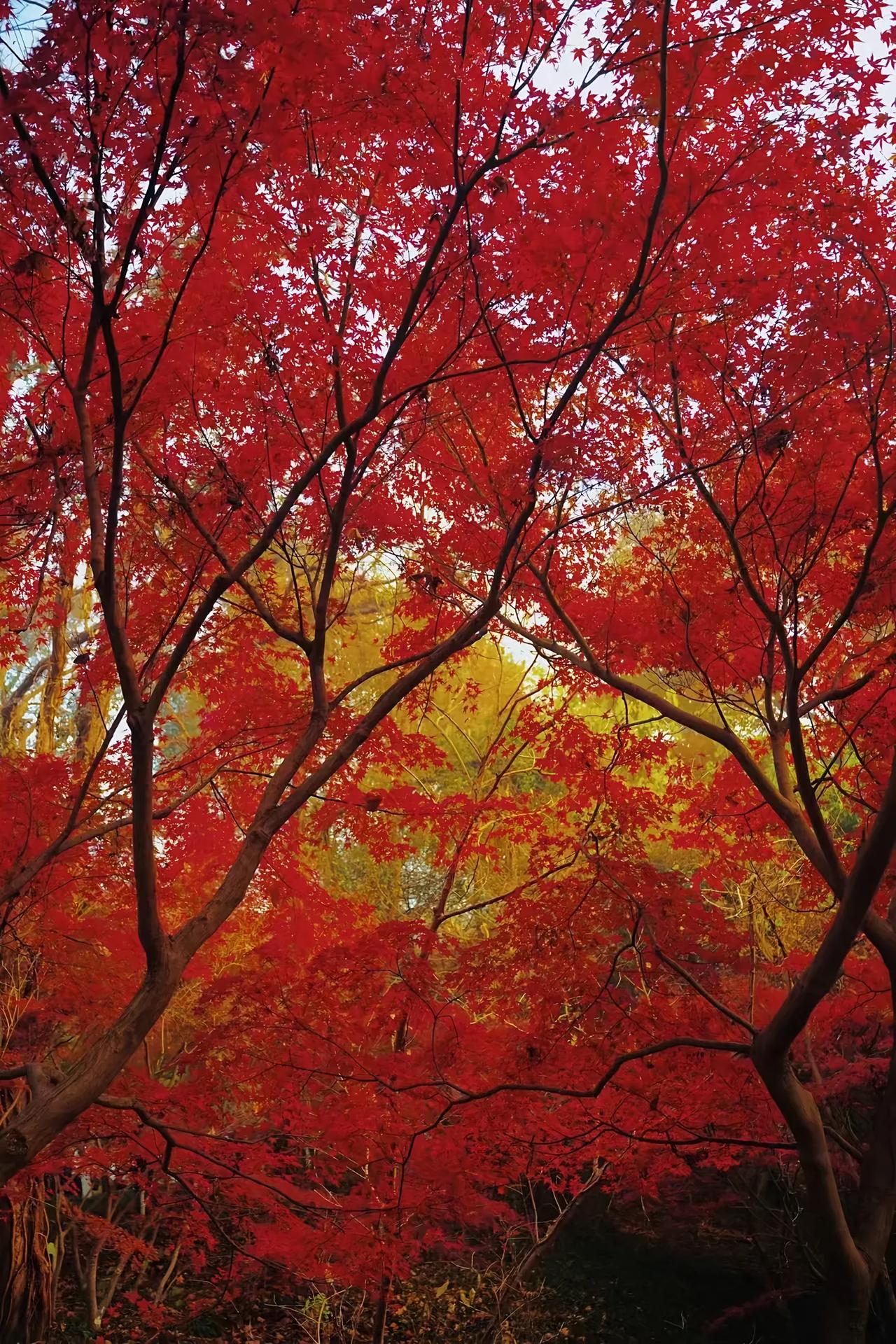 碰到一个孩子的妈妈，孩子这次考试没考好，家长把所有的责任都往孩子身上推，这是非常