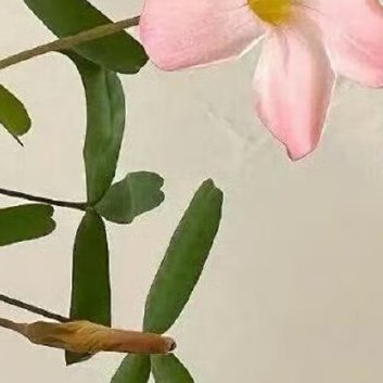 每日一善‎每日一善 ‎阳光‎信用 无论生活怎么为难你，都不要放弃一如既往的努力；