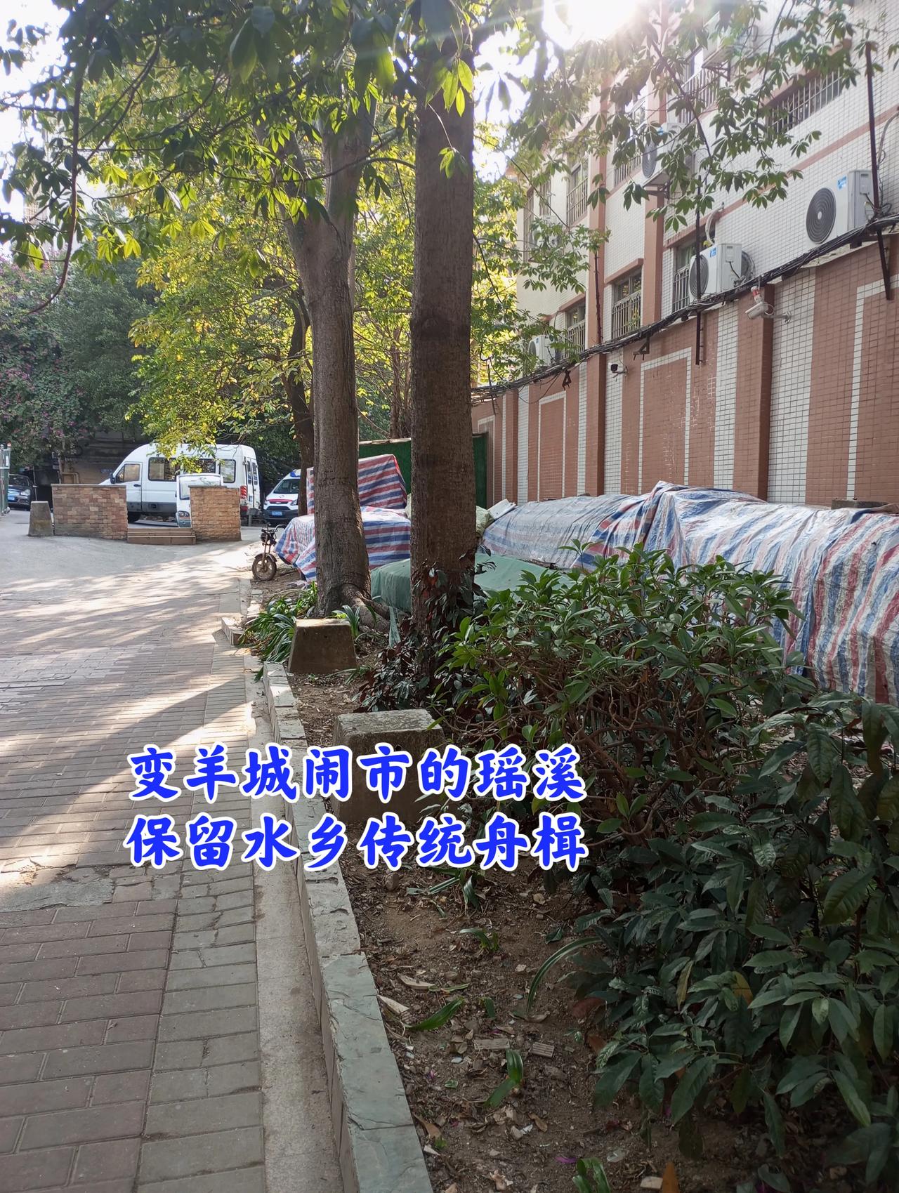 变羊城闹市嘅河南瑶溪乡“依然保留水乡传统舟楫”，放喺施家祠原址门前嘅两艘舟楫係广