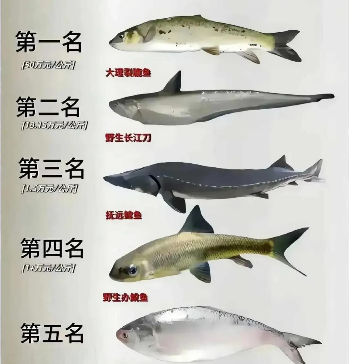 吃一条鱼等于吃掉一套房，谁舍得？这句话虽然听起来有些夸张，但确实反映了一些高端食