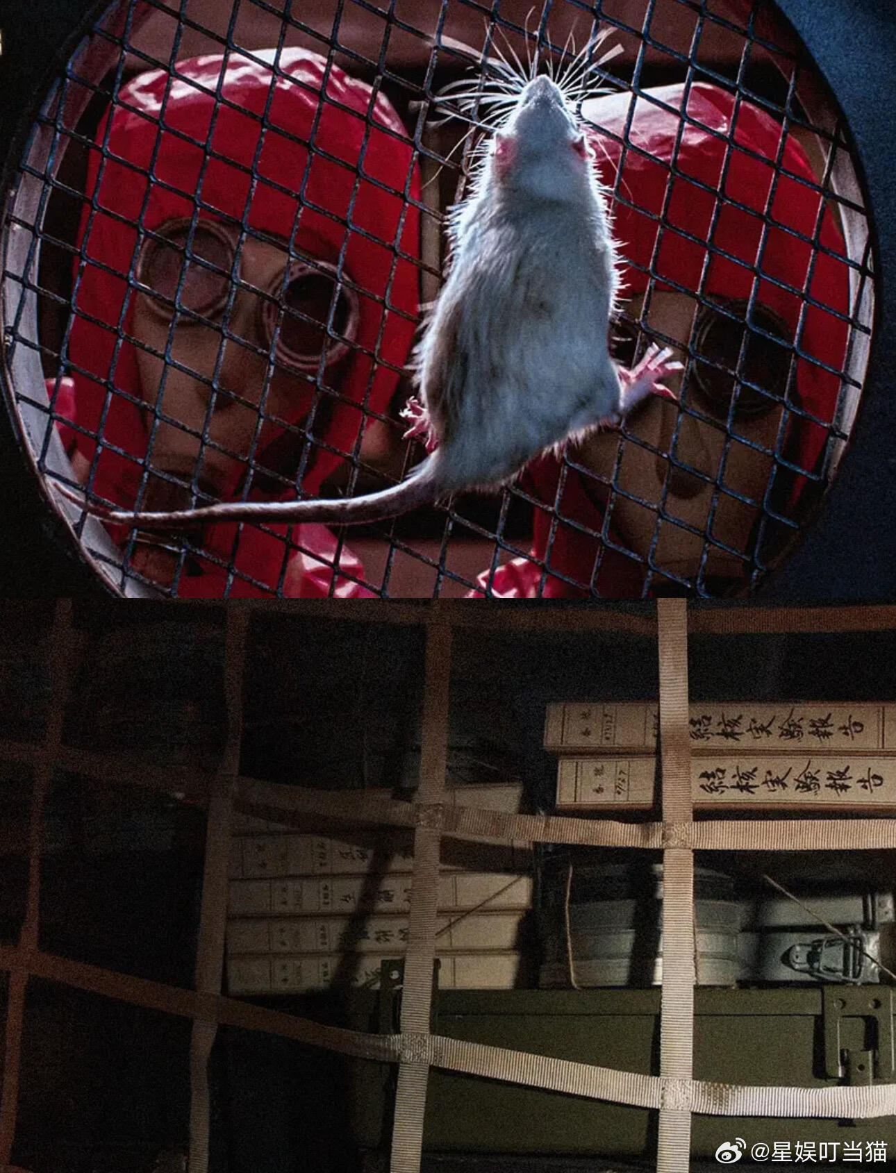 电影731母婴实验母亲拼死堵住毒气口，将孩子奋力托起。玻璃窗外，却是冷静记录的冰