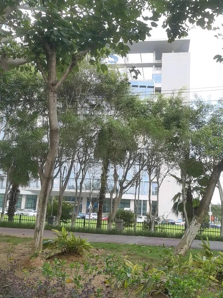 本来从机场到单位的车程2个小时，可中间出了点岔头，与我同行的同事出来忘了带糖尿病