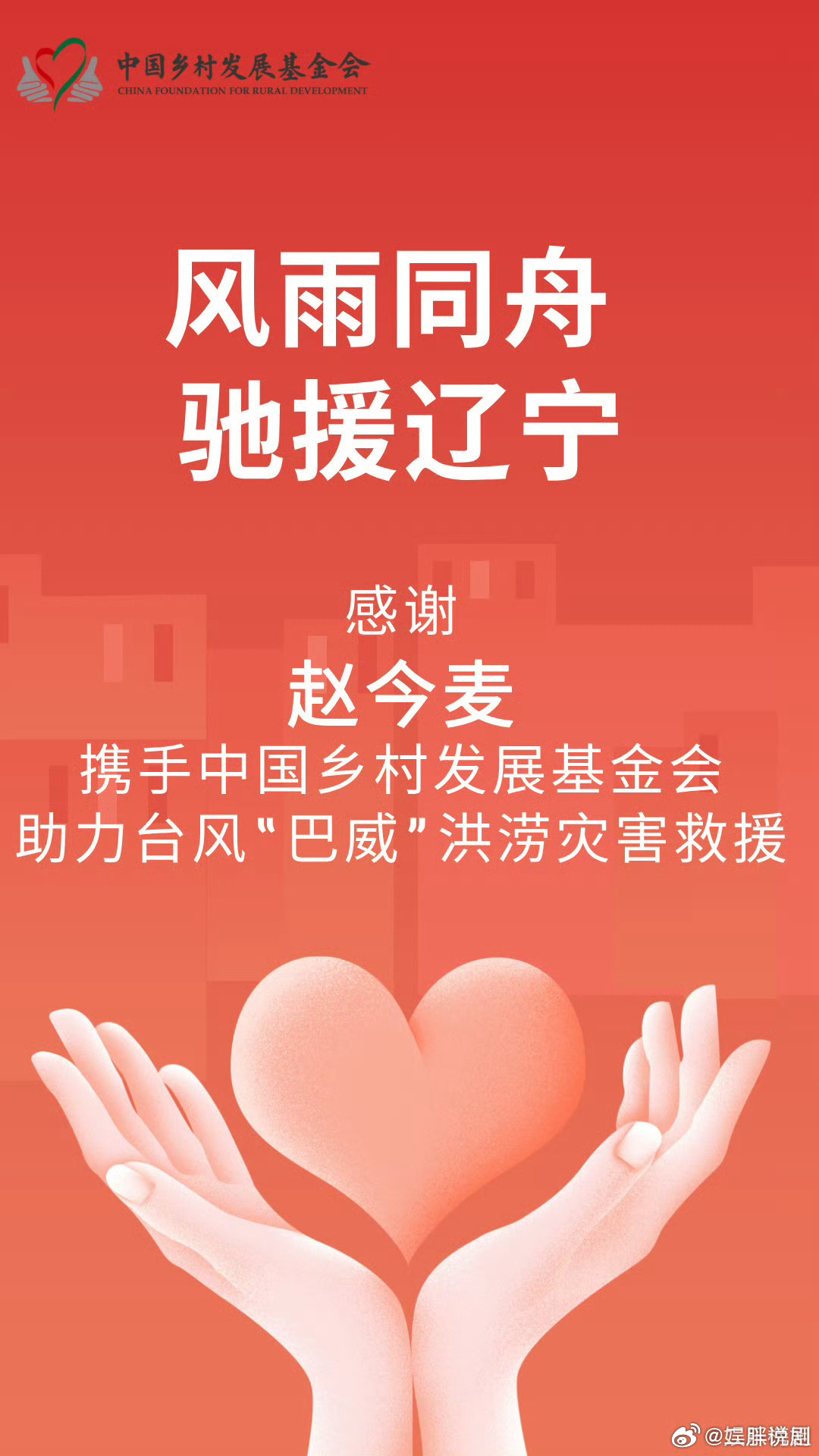 沈阳女孩赵今麦驰援家乡赵今麦驰援沈阳