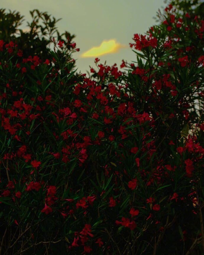 岁月这东西总是要按时带走它要带走的部分。——村上春树