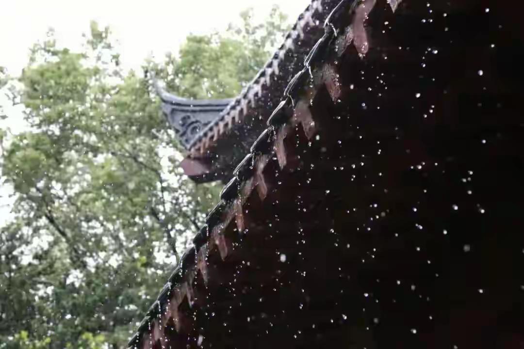 演员李威出庭不认罪 10月14日，出演过《放羊的星星》的演员李威卷入的“精舍命案