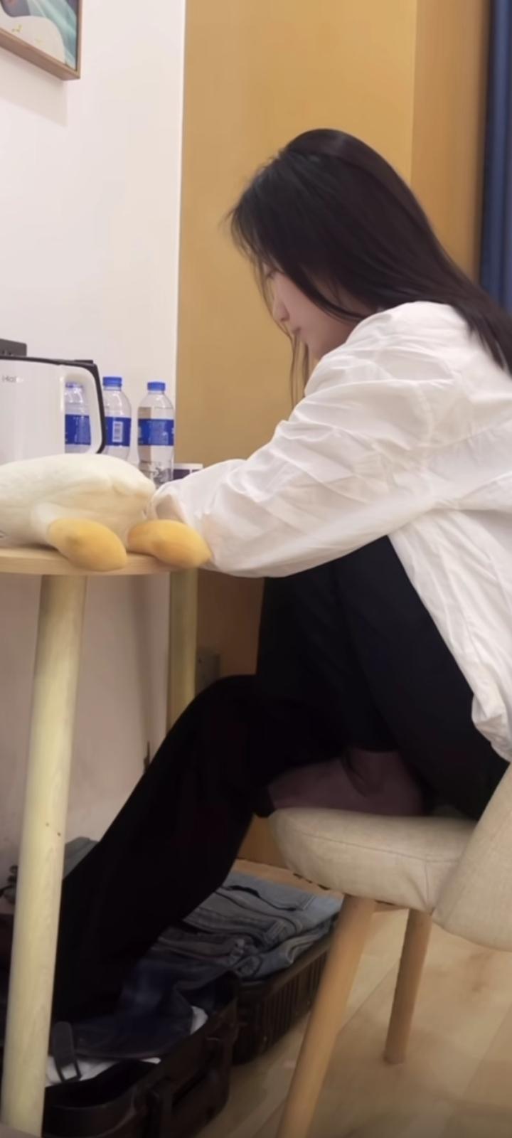 马年的春光真好，阳光不燥，微风正好。