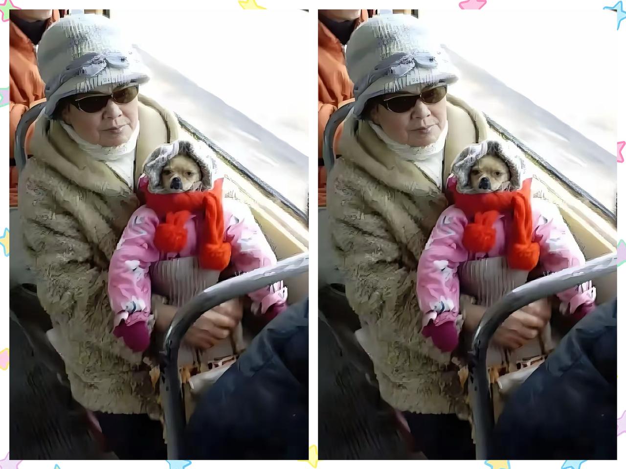 好家伙，还有这样的！
在公交上一个大妈，墨镜戴得严严实实，怀里抱着只“人模狗样”