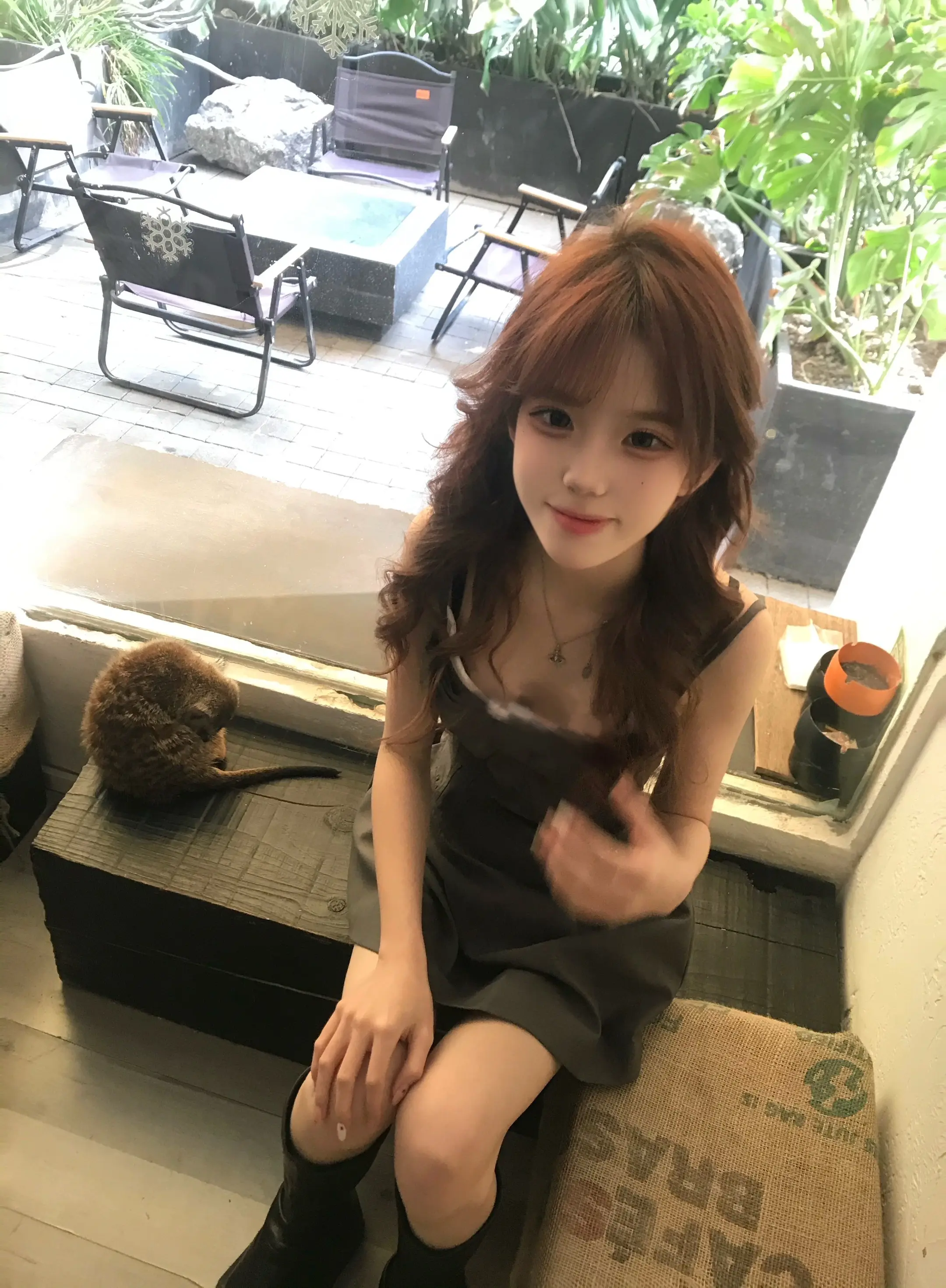 允许一切牛走那我们养的牛怎么办！