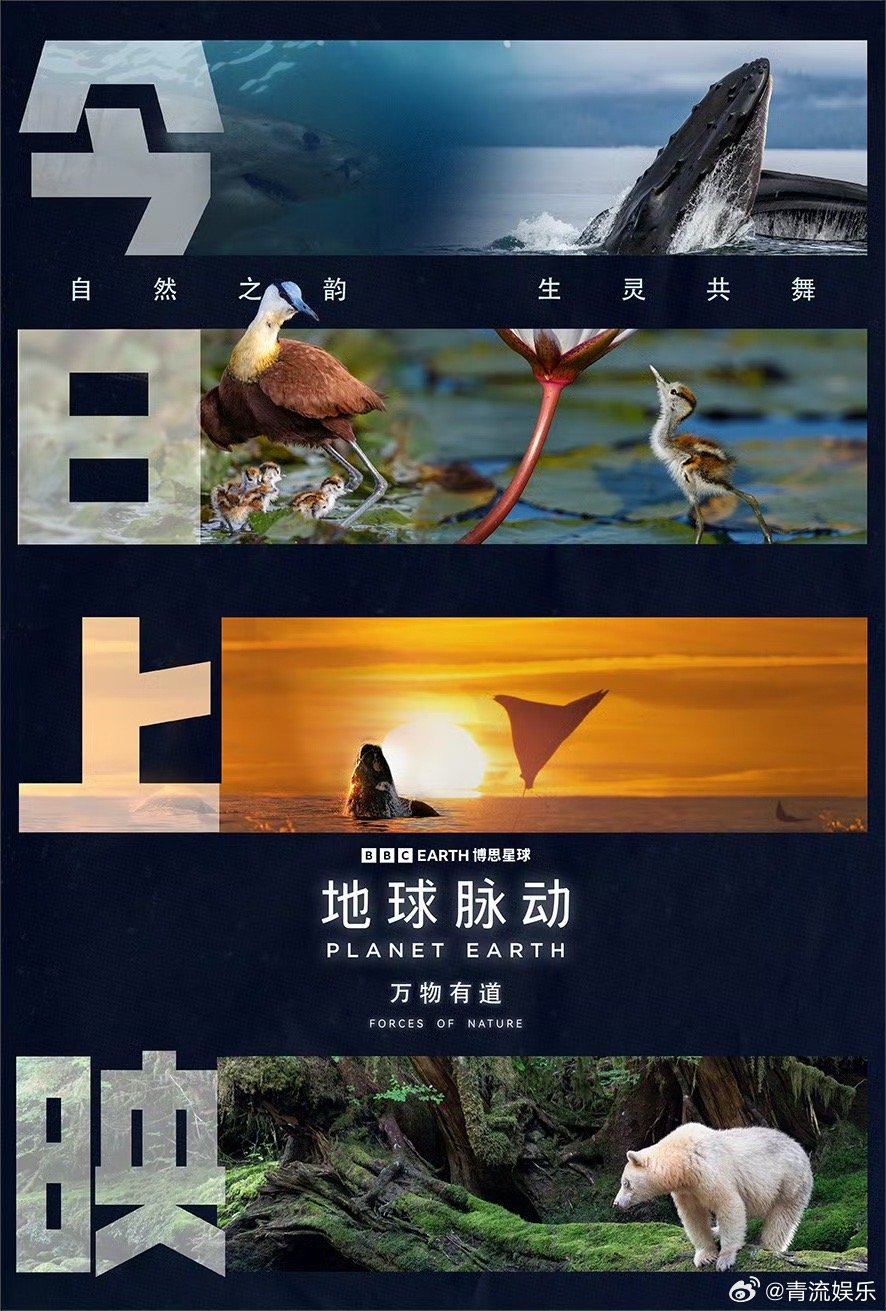 电影地球脉动万物有道今日上映 全新自然纪实电影《地球脉动：万物有道》今日上映！以