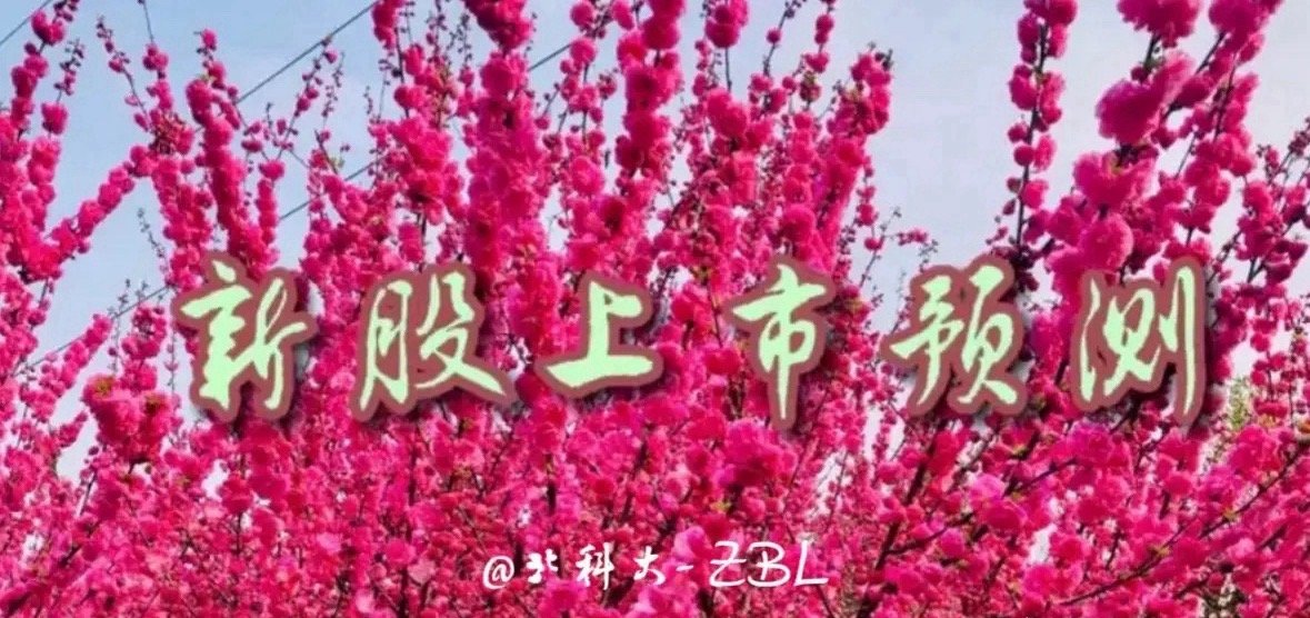 龙辰科技上市股价预测：接着奏乐，接着舞龙辰科技公开发行的3,399.85万股股票