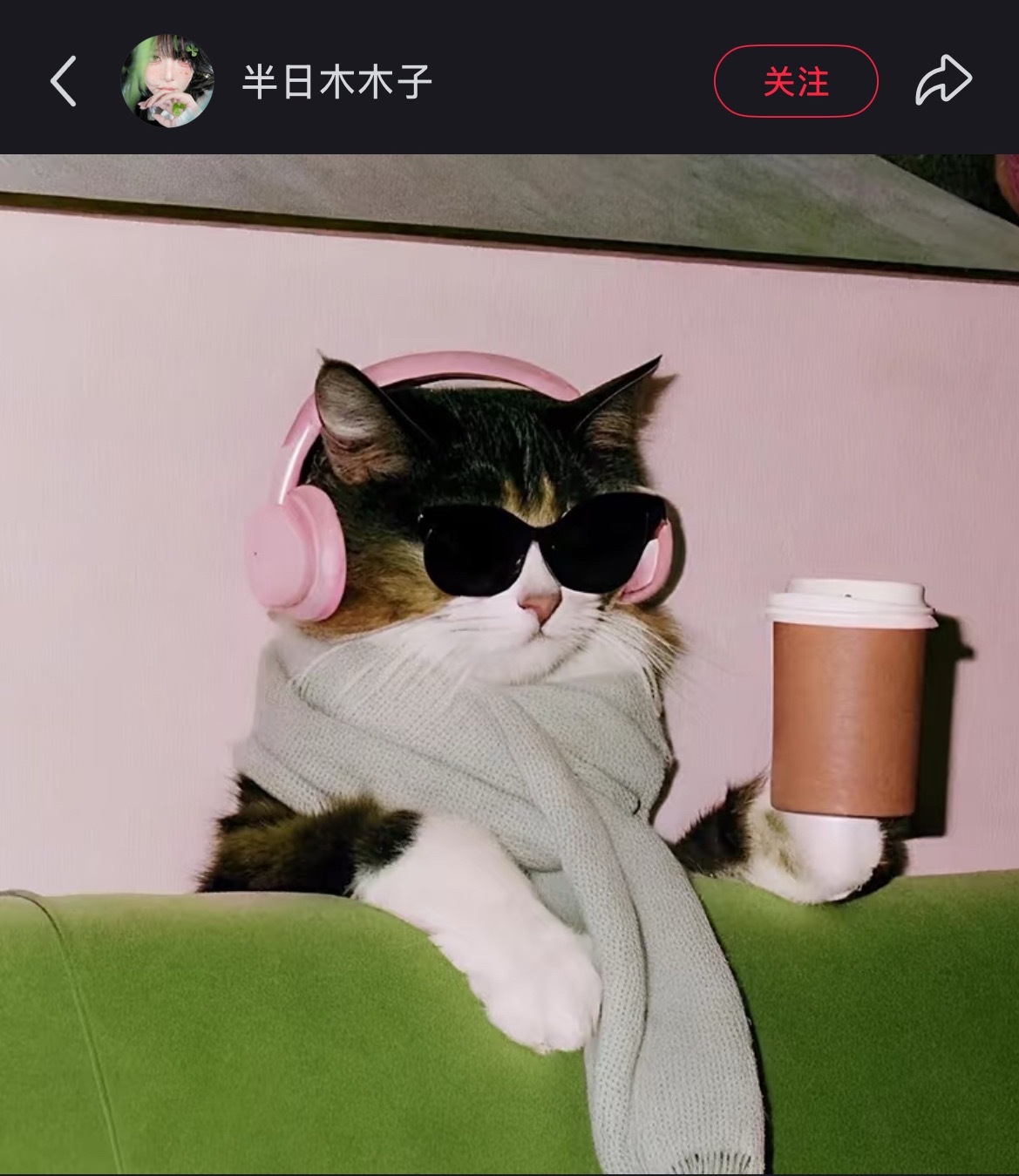 以下分别是：码洋听音乐码洋买吉他码洋买了吉他但闲置了码洋学吉他码洋在录音棚喝咖啡